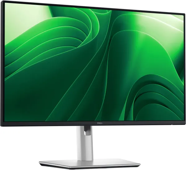 Monitor DELL P2425DE 